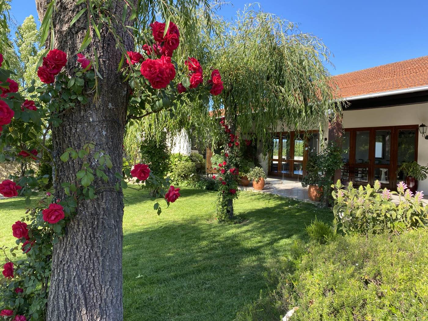 Quinta Casal Camaz
